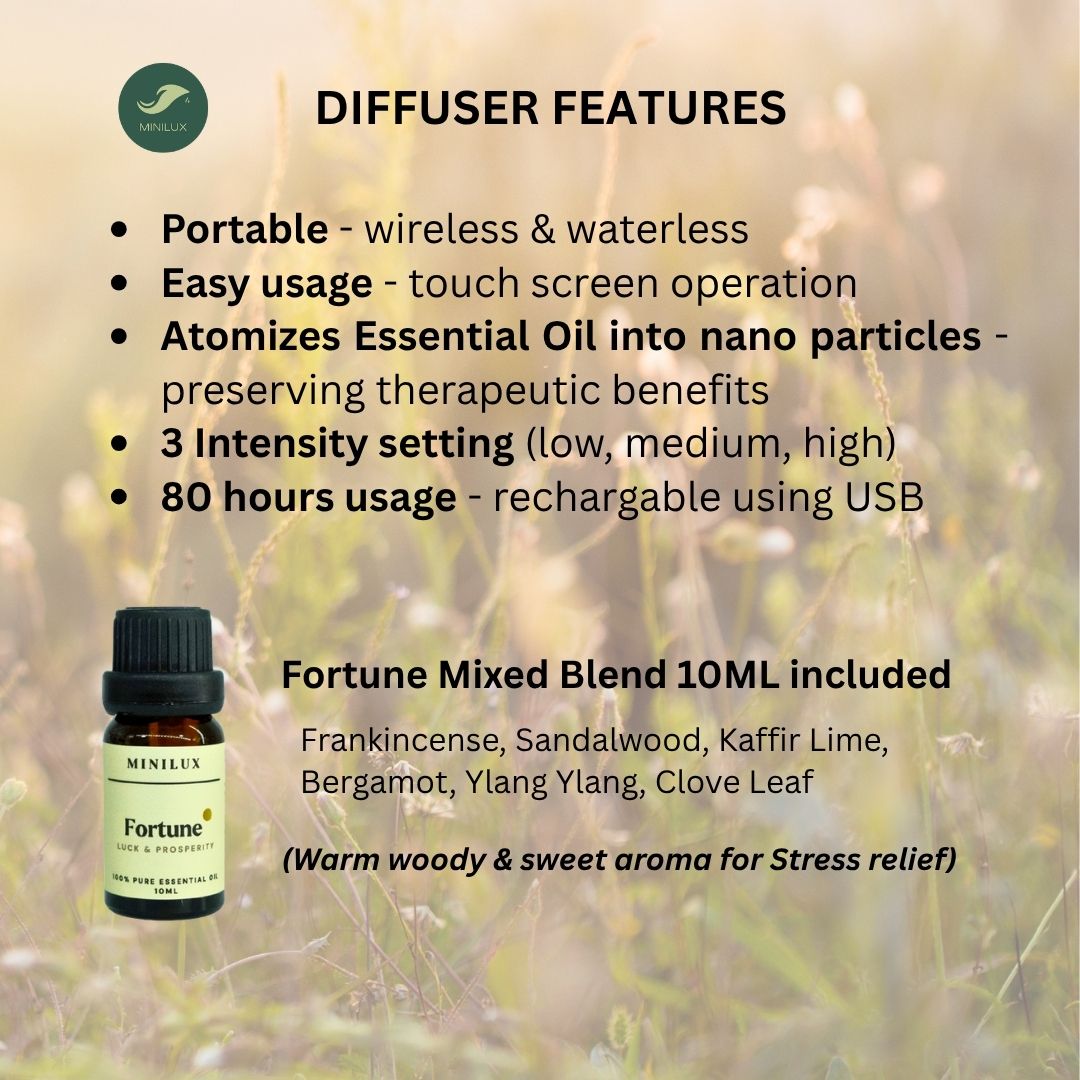 Nebulizer Diffuser