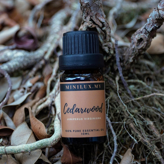 Cedarwood Essential Oil (Juniperus Virginiana)