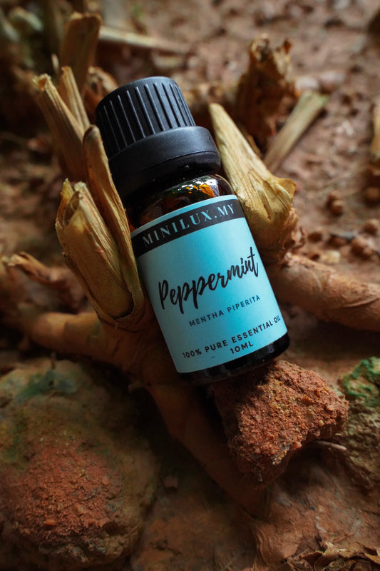 Peppermint Essential Oil (Mentha Piperita)