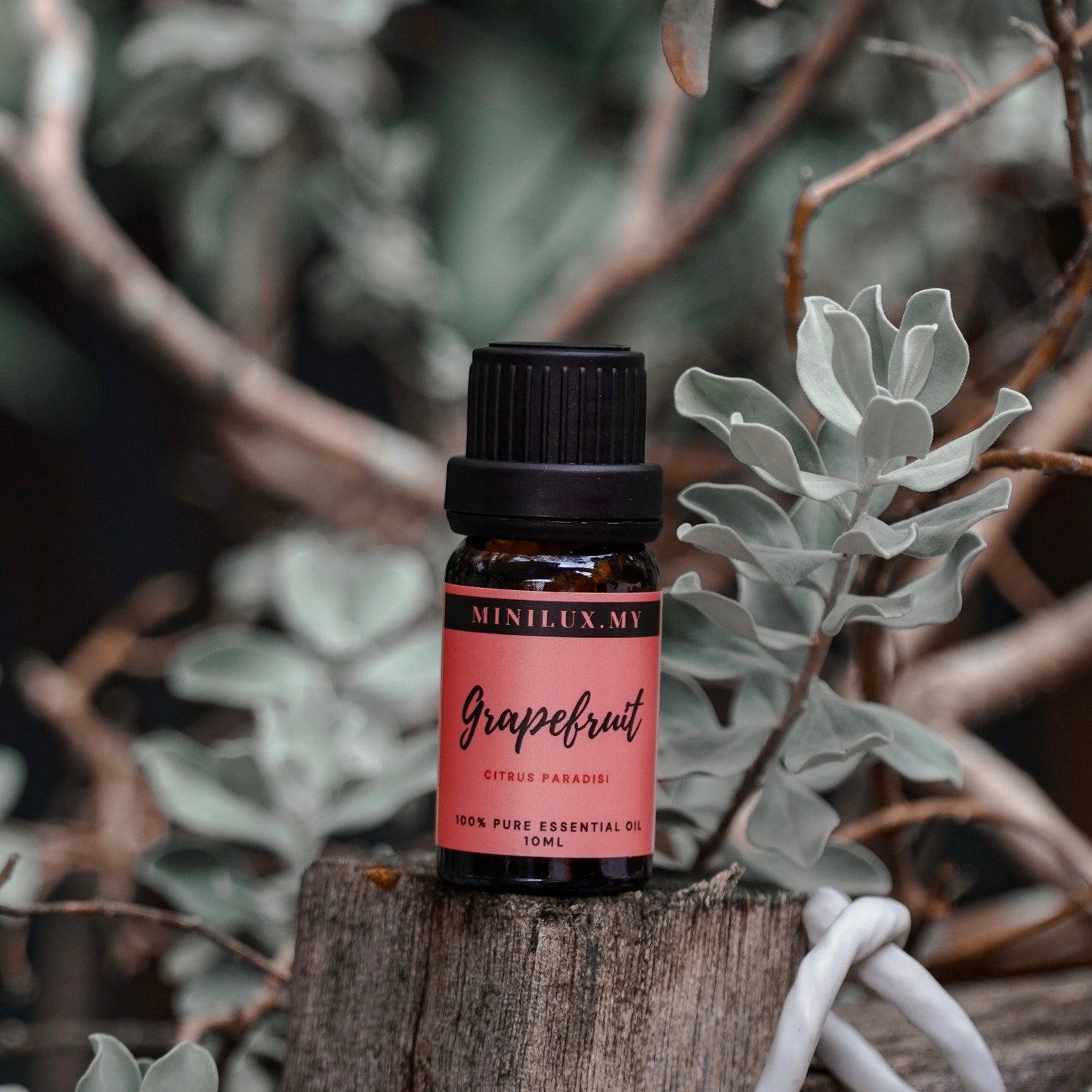 Grapefruit Essential Oil (Citrus Paradisi)