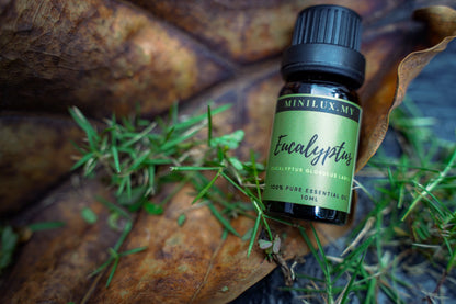 Eucalyptus Essential Oil (Eucalyptus Globulus Labill)