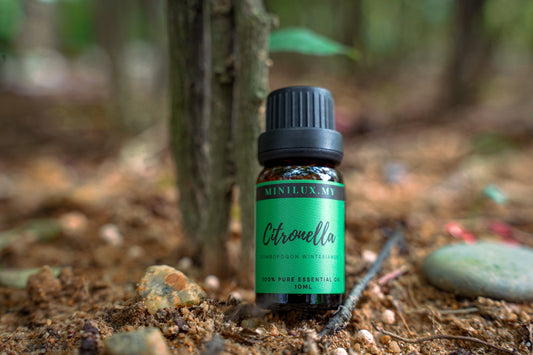 Citronella Essential Oil (Cymbopogon Winterianus)