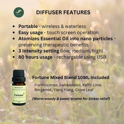 Nebulizer Diffuser