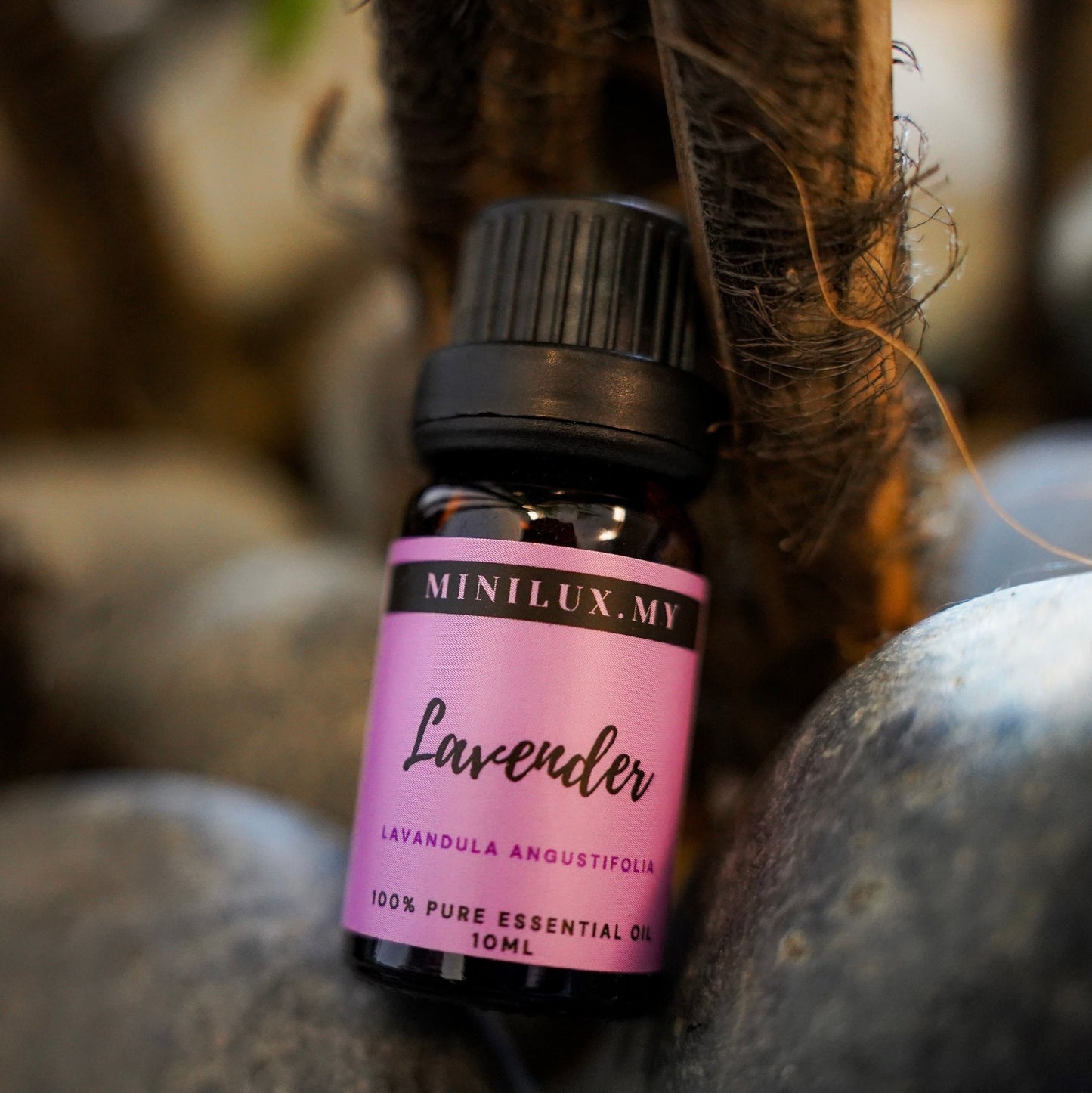 Lavender Essential Oil (Lavandula Angustifolia)