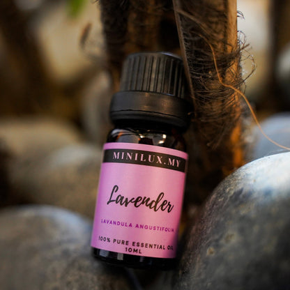 Lavender Essential Oil (Lavandula Angustifolia)