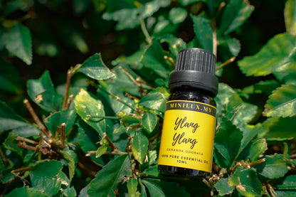 Ylang Ylang Essential Oil (Cananga Odorata)