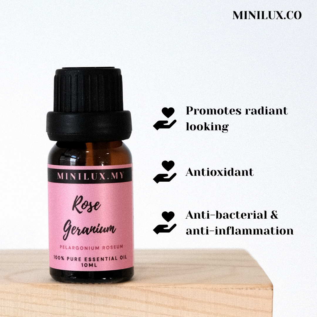 Rose Geranium Essential Oil (Pelargonium Roseum)