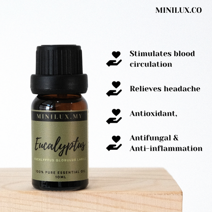 Eucalyptus Essential Oil (Eucalyptus Globulus Labill)