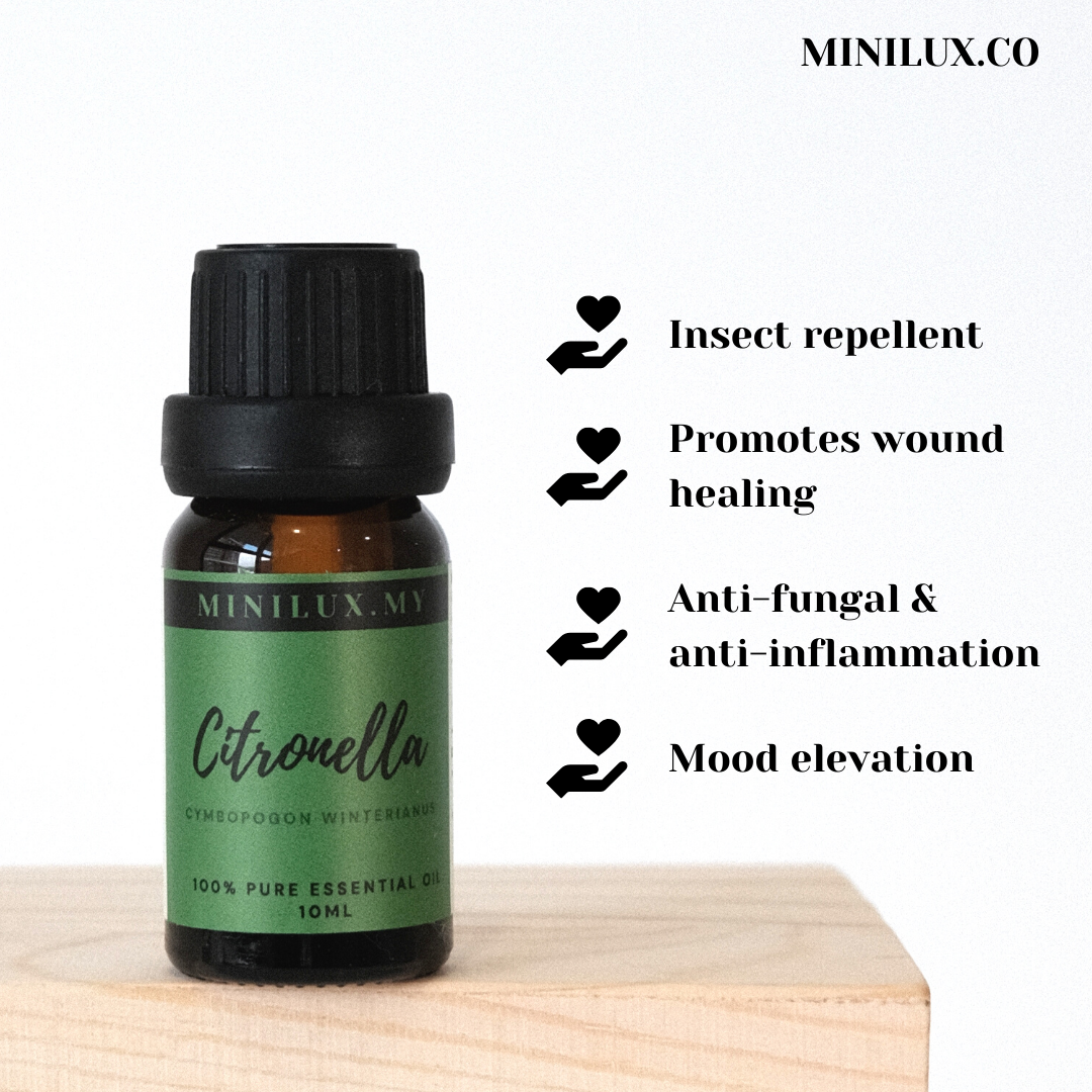 Citronella Essential Oil (Cymbopogon Winterianus)